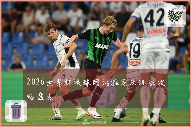 2026世界杯滚球网站推荐及玩法攻略盘点