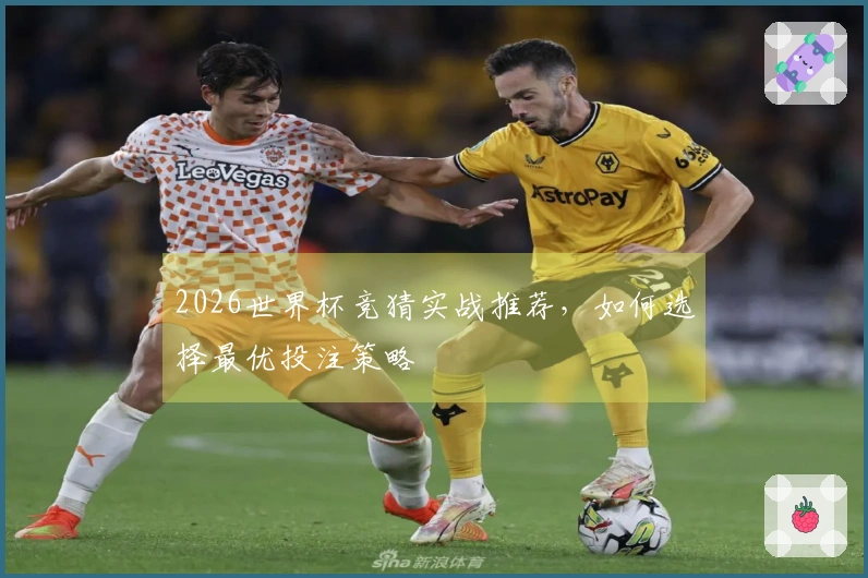 2026世界杯竞猜实战推荐，如何选择最优投注策略