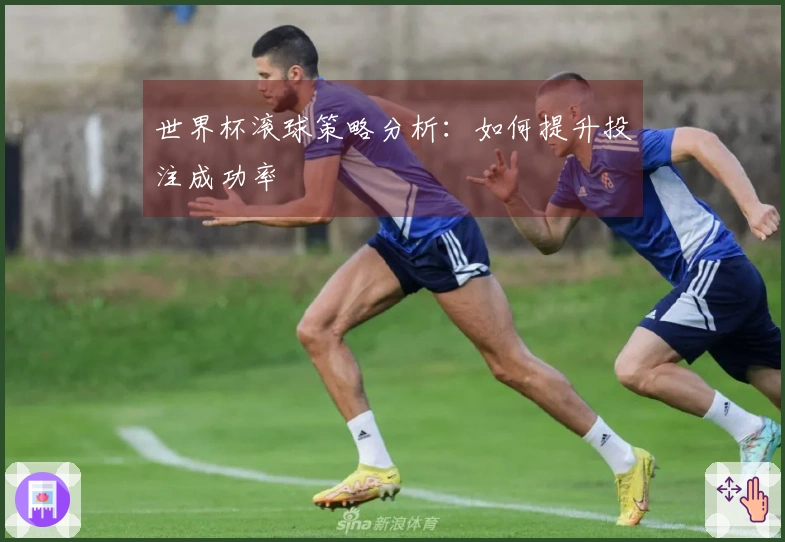 世界杯滚球策略分析：如何提升投注成功率