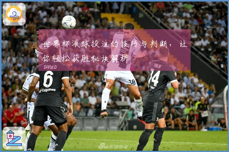 世界杯滚球投注的技巧与判断，让你轻松获胜秘诀解析