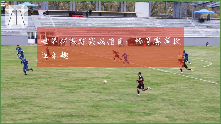 世界杯滚球实战指南，畅享赛事投注乐趣