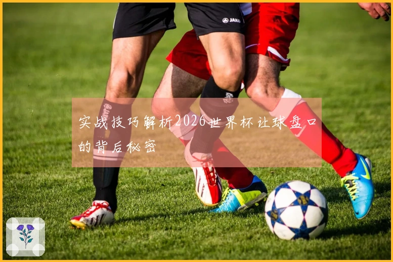 实战技巧解析2026世界杯让球盘口的背后秘密
