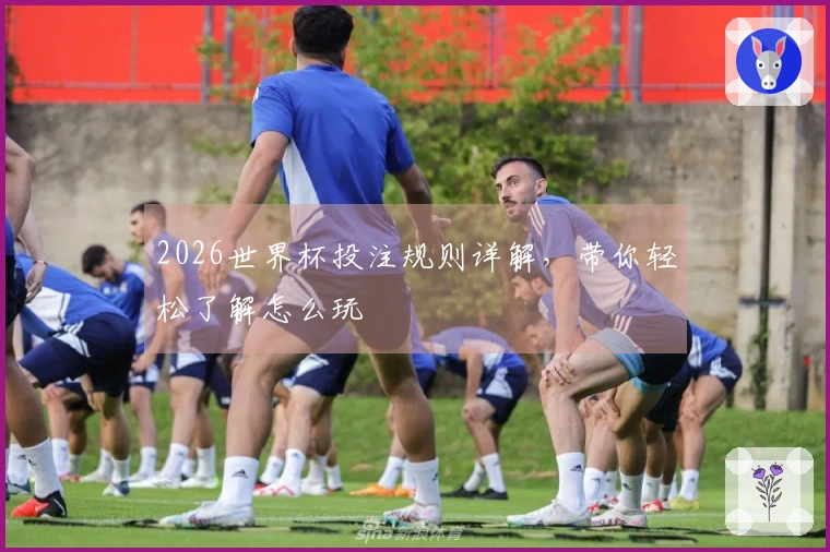 2026世界杯投注规则详解，带你轻松了解怎么玩